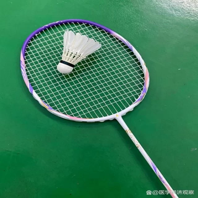 数据视角解读篮球季后赛走势：第673组启示